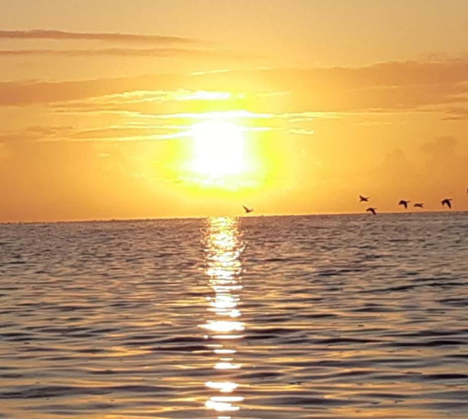 Wol Thus Villa Paesens Dış mekan fotoğraf